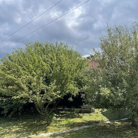 Bungalow Mit Grossem Garten Uneinsehbar Und Stellplatz Lejlighed Landshut Eksteriør billede