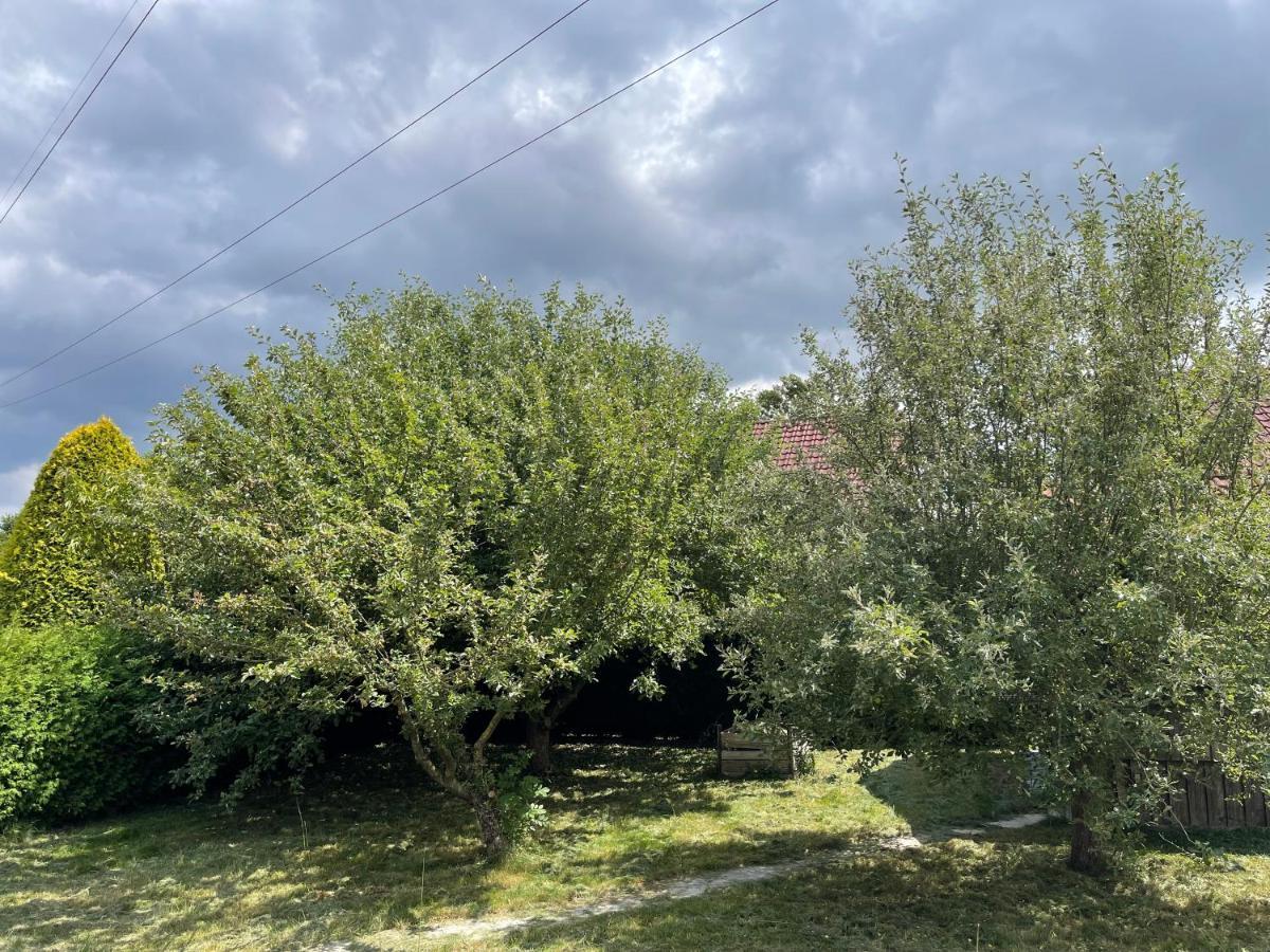 Bungalow Mit Grossem Garten Uneinsehbar Und Stellplatz Lejlighed Landshut Eksteriør billede