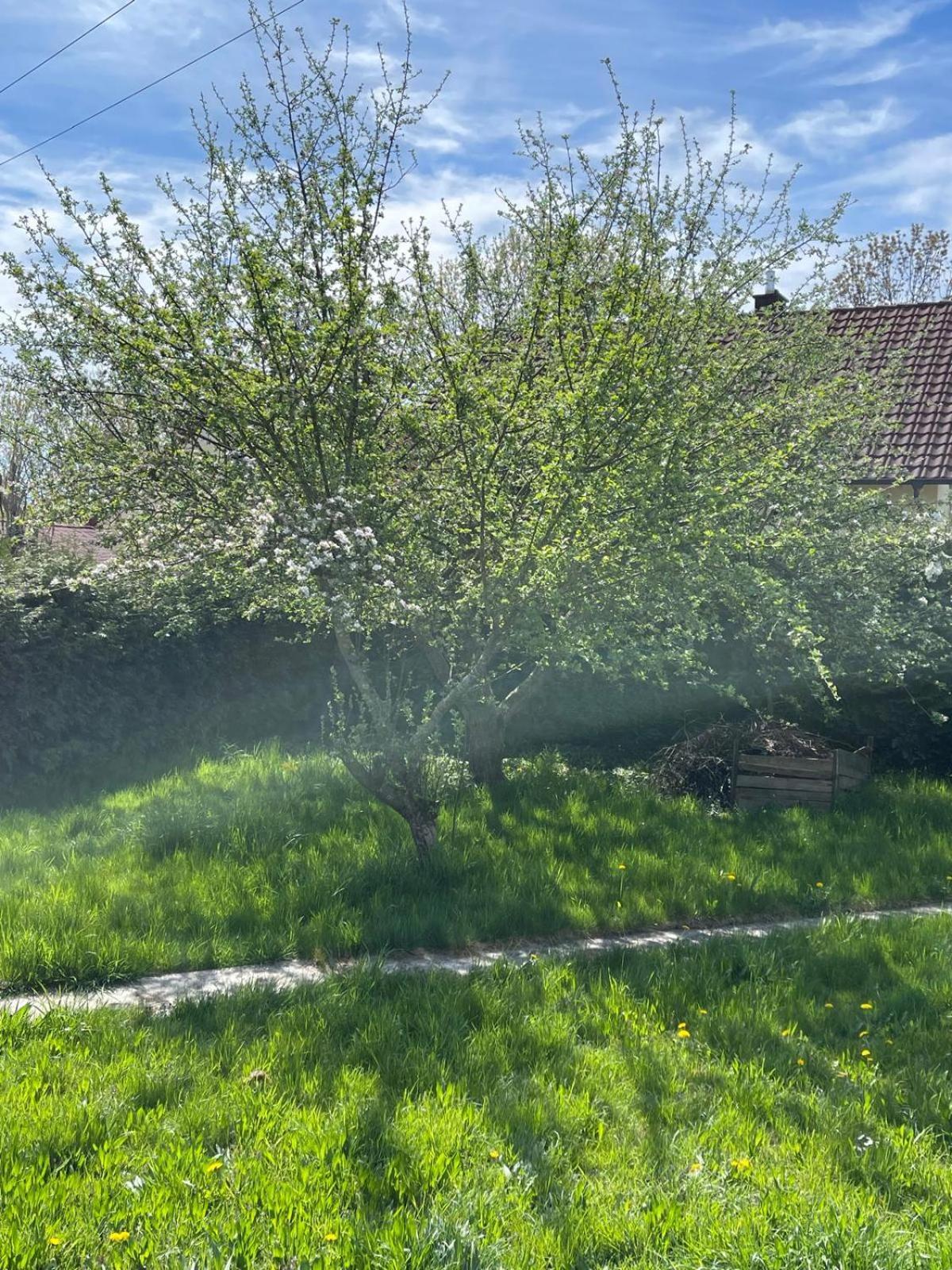 Bungalow In Ruhiger Siedlung Mit Stellplatz Landshut Eksteriør billede